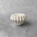 A set of 50 filter papers on a marble surface